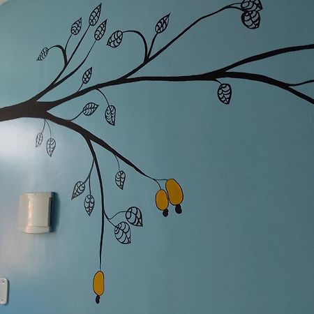 Solar Hostel パルナイーバ エクステリア 写真
